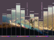 Mirza Mustafić: ”Vremeplov”
