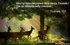 ~ БОГ НИКОМЕ НЕ ОСТАЈЕ ДУЖАН ~