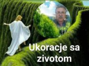 Интервју са Светозаром Раком Ракићем
