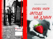 Снови нису јагоде на длану – Биљана Савић