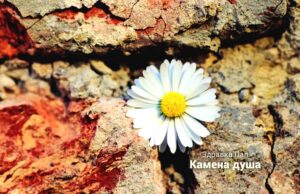 Цвет из окамењене душе-