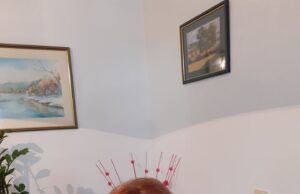 МИЛЕНА ДРПА