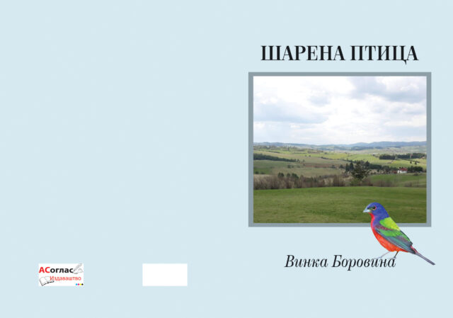 korica sarena ptica OK-2