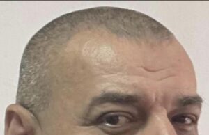 Александар Деспотовић