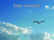 U pripremi zbirka priča ”GRANICE” autora Željka Vladisavljeva