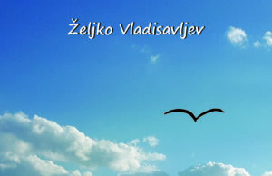 U pripremi zbirka priča ”GRANICE” autora Željka Vladisavljeva