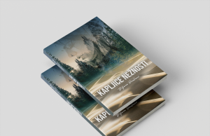 U pripremi zbirka pjesama ”Kapljice nežnosti” Biljane Novaković Free book mockup 2 (1)